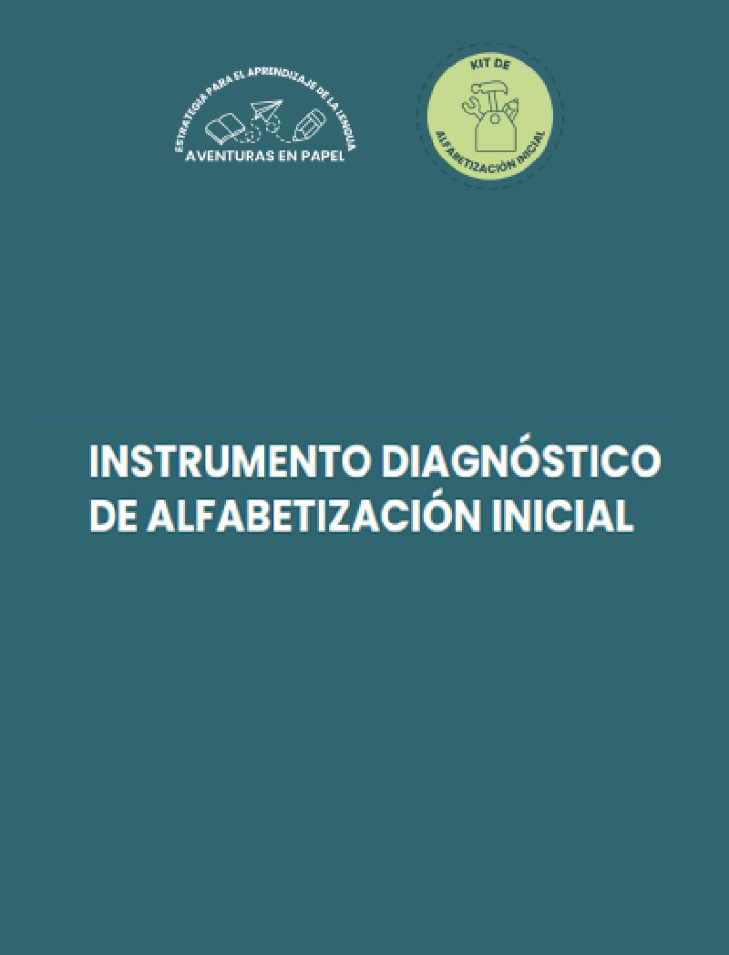 IDAI- instrumento.jpg